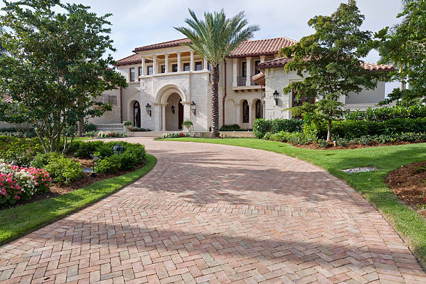 Best Best Driveway Pavers  in Hebbronville, TX