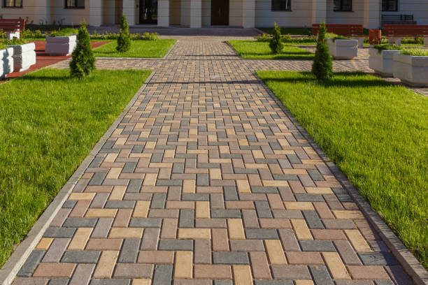 Best Professional Driveway Pavers  in Hebbronville, TX